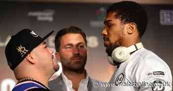 What is Anthony Joshua vs Andy Ruiz 2 fight time, TV channel and undercard