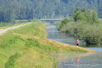 Dike bill rises by $30 million, but city says feds and province need to pay