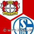 LIVE! Leverkusen empfängt Schalke - Havertz wieder mit dabei