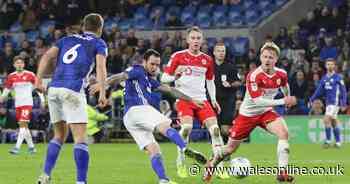 The Cardiff City player ratings vs Barnsley as goal hero and defender turn out impressive displays