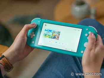 Best holiday shopping deals this weekend: Switch Lite, Echo Show, Instant Pot and more     - CNET