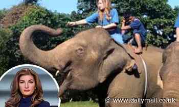 Apprentice star Karren Brady accused of 'endorsing animal cruelty'
