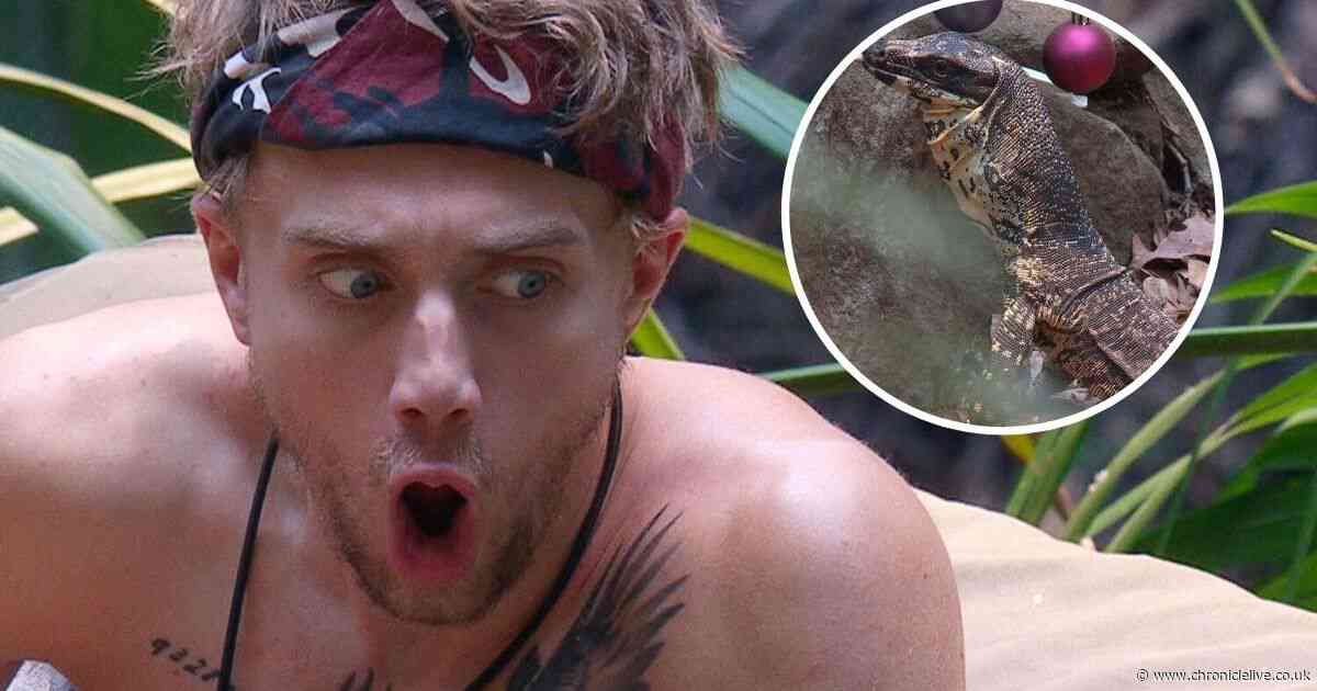 I'm A Celebrity shock as 'one of the world's largest lizards' gets into camp