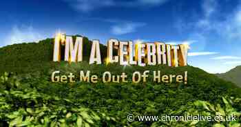 Who's in I'm A Celebrity final on Sunday? Three campmates left in race to be jungle winner