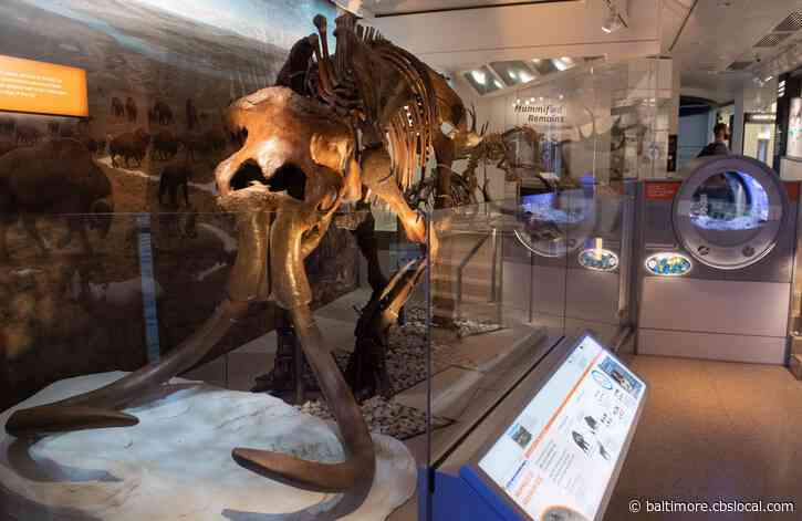 Smithsonian’s Chief Says More Museums Must Wait, Maintenance Is Top Priority