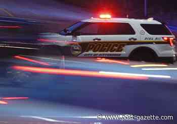 Crafton man charged with animal cruelty after killing raccoon with hammer, posting to Facebook