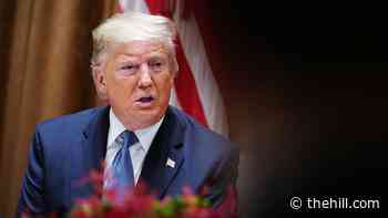 Tech finds surprise ally in Trump amid high-stakes tax fight
