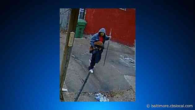 Person Of Interest In Custody After String Of Recent Fires In Southwest Baltimore