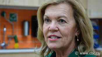 Ottawa Health Team model will improve patient care, minister pledges