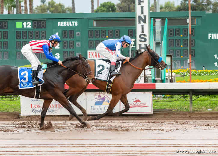 Horse racing: Bob Baffert’s Thousand Words wins Los Alamitos Futurity