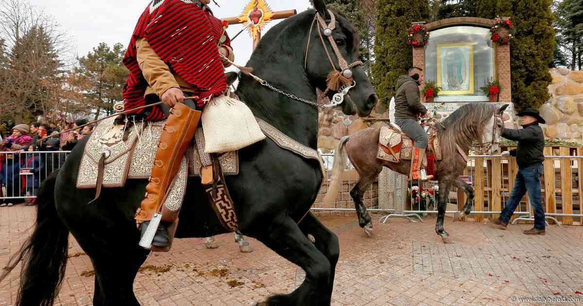 Horseback, trailer pilgrimage honors Our Lady of Guadalupe