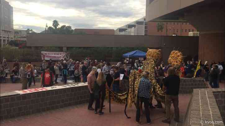 Border wall protest held in downtown Tucson