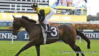 In Her Time scratched from Hong Kong sprint