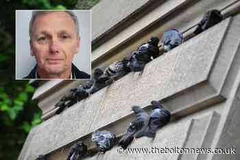 Injured man calls for Bolton town centre pigeon cull