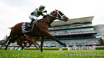 Spring becoming big business as Sydney bucks national trends