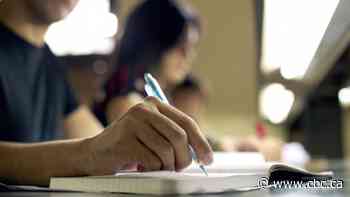 Brampton pushes plan for its own university in hope to combat brain drain