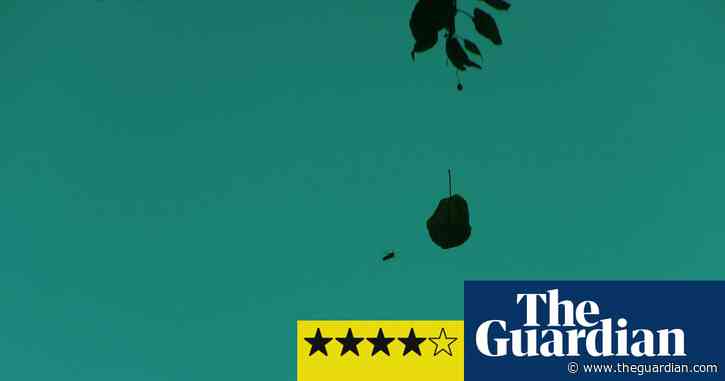 Bloomberg New Contemporaries 2019 review – a vintage year for emerging artists