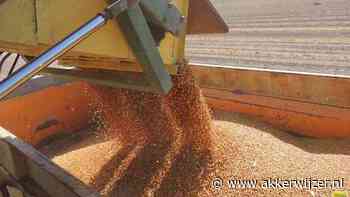 Nederland stemt in Scopaff voor verbod op stof chloorpyrifos