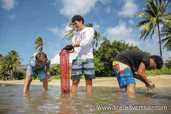 ‘Iolani literature students clear limu from Maunalua Bay