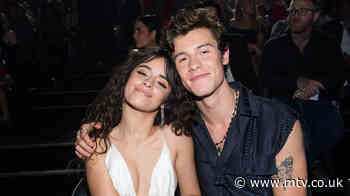 Camila Cabello Just Revealed Why She Doesn't Kiss Shawn Mendes Onstage