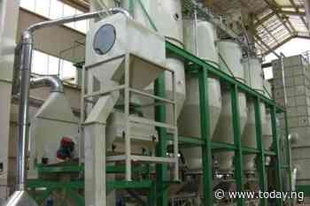 Christmas: We are capable of meeting demands – rice millers
