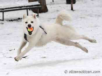 Snow today, rain tomorrow, -15 C by Tuesday night