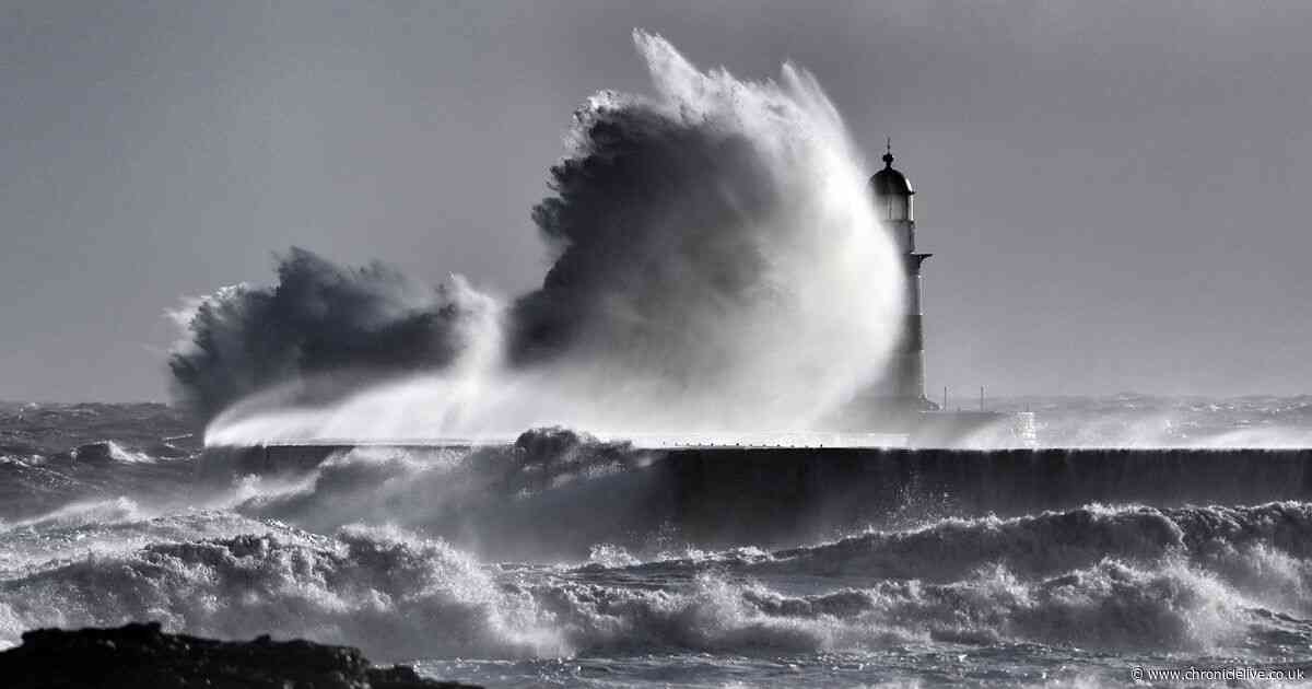 Gale force winds blow into the North East with more wet and very windy weather on the way
