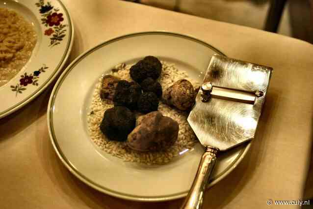 Witte en zwarte truffels: dit is wat je erover moet weten
