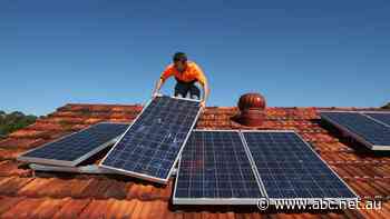 Electricity prices forecast to fall across Australia over next three years
