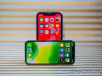iPhone 11 and 11 Pro, 2 months later: The ultra-wide camera is still our favorite thing     - CNET