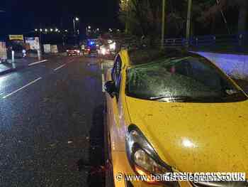 Driver and passengers have lucky escape after tree falls on car