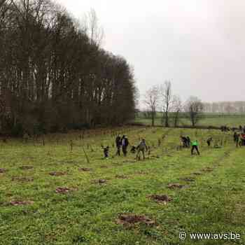 2000 bomen geplant in Horebeke