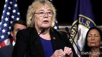 Judiciary Democrat says House should focus on Ukraine, avoid Mueller report in articles of impeachment