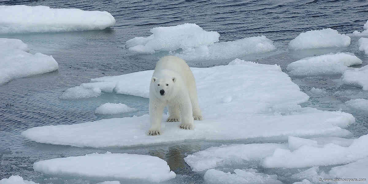 Journée mondiale du climat : 5 chiffres pour comprendre l’ampleur des dégâts