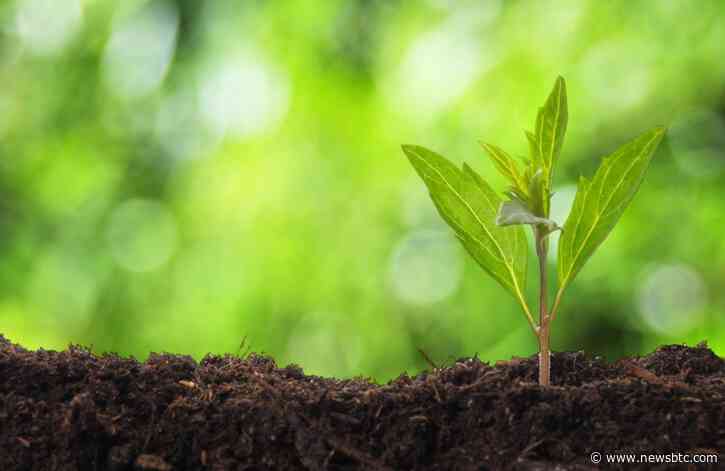 Four Crypto Projects to Keep Tabs on in 2020