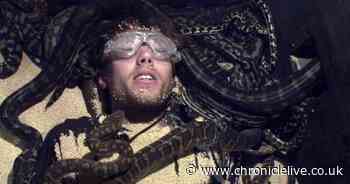 I'm A Celebrity viewers horrified by Roman Kemp's final trial with 56 snakes