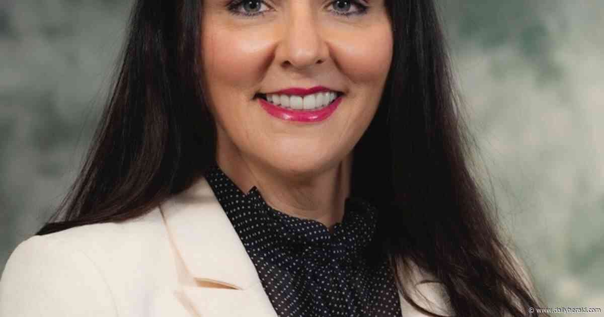 Schneider facing challenge from the left for 10th House seat