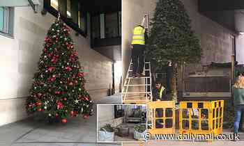 BBC Christmas tree gets the axe amid 'security fears' on election night