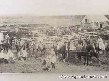 REFLECTIONS: They came from Nova Scotia to the pristine countryside near Ponoka