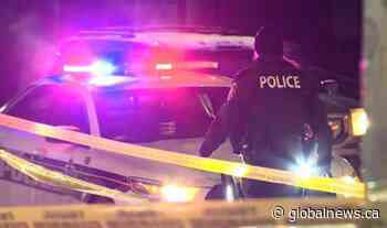 Crime Wave: The fear of violent crime