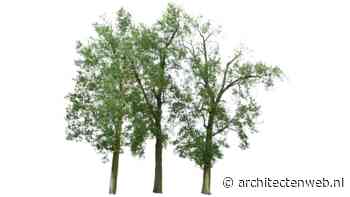 Aanplant tien miljoen bomen van start