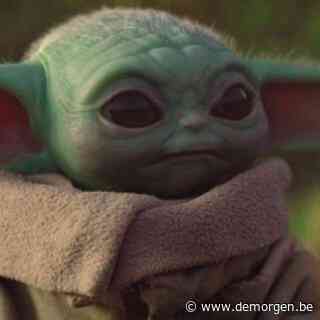 Het internet heeft een nieuwe lieveling: dit is de ‘absurd schattige’ Baby Yoda