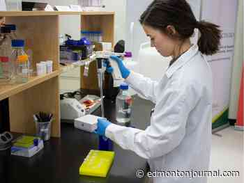 U of A lights up medical cannabis research through $300,000 donation