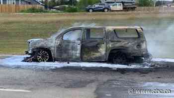 Lax regulations mean automakers can 'bury' reports of vehicle fires, says advocate