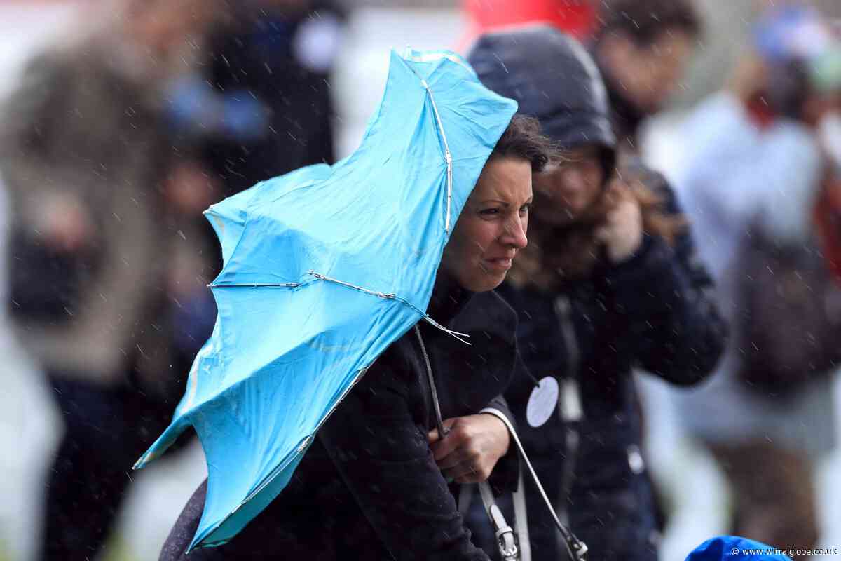 Batten down the hatches! Met Office warns of 60mph winds
