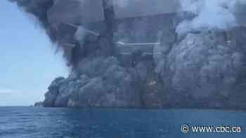 New Zealand police say no sign of life after volcano erupts on island