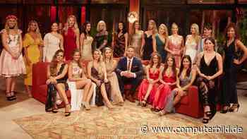 Bachelor 2020: Das sind die Kandidatinnen!