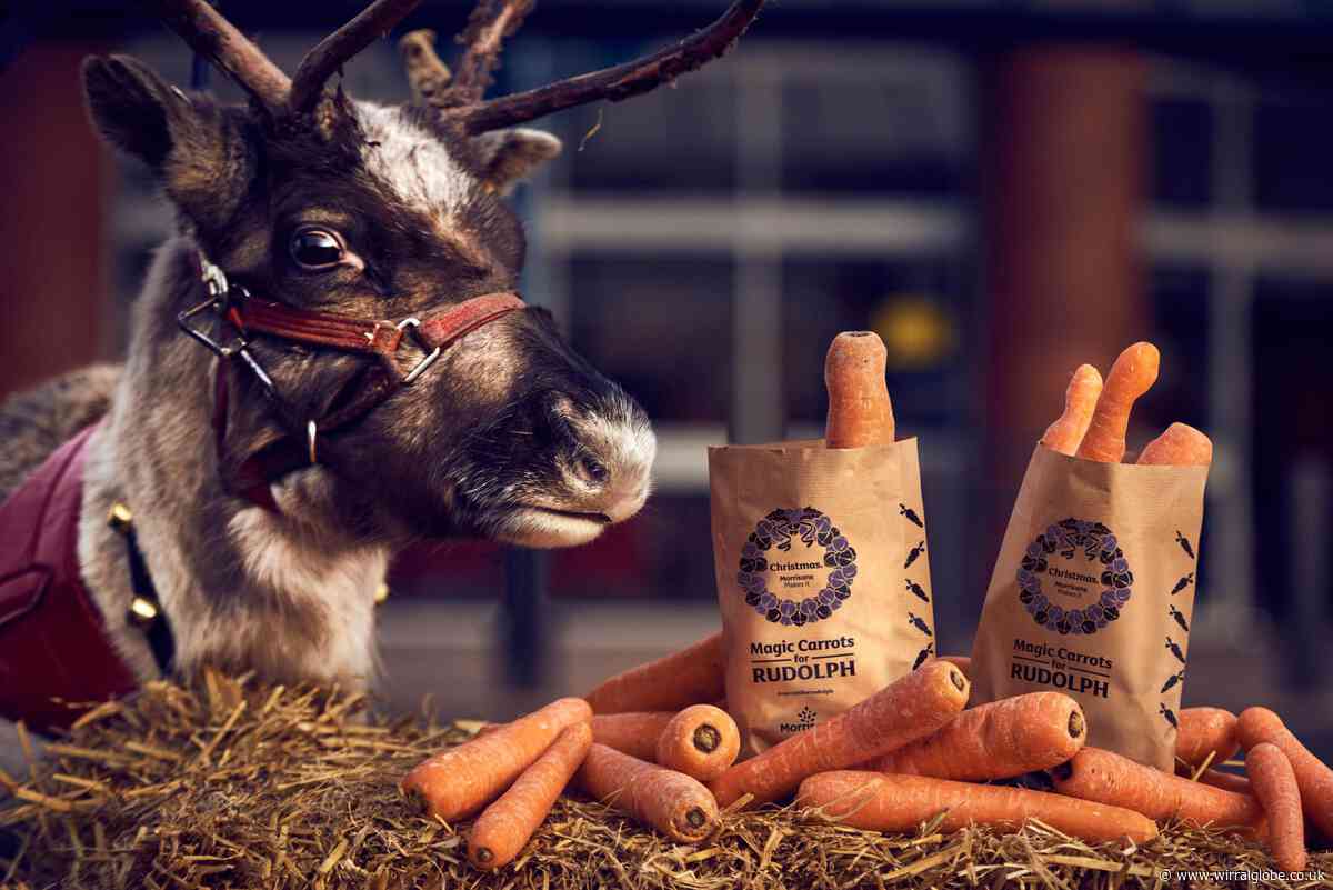 Morrisons is giving out free wonky carrots for Rudolph