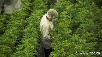 Canopy Growth names Constellation Brands executive as new CEO