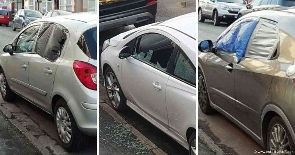 Nearly every car in the street smashed in 'mindless' overnight crime spree
